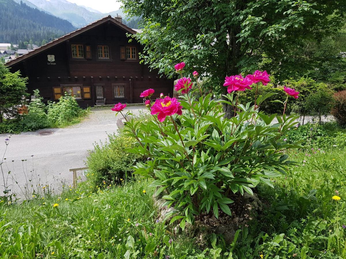 Le Castor Bed & Breakfast Morgins ภายนอก รูปภาพ